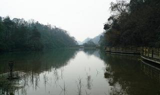 都江堰青城山一日游