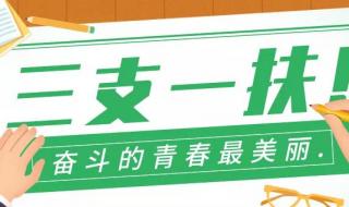 山东三支一扶怎么报名 山东三支一扶报名