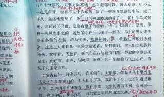 六年级下册草原课文 草原课文六年级上册笔记